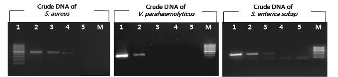 aureus, S. enterica subsp., V. parahaemolyticus 의검출을위하여상업적 kit 및전통적인방법에의한 DNA 추출및정제방법이아닌 crude DNA 추출을통해비용절감과함께 PCR 검출한계를알아보고자하였다. 검출하고자하는식중독원인균중그람양성균인 S.
