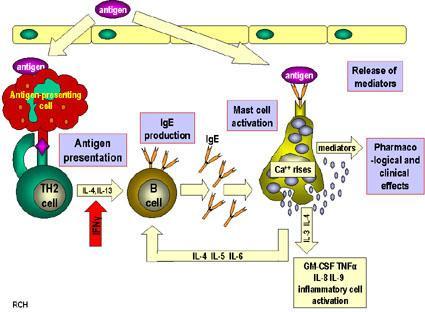 2) 항원 (antigen) : 면역반응결과생성된항체