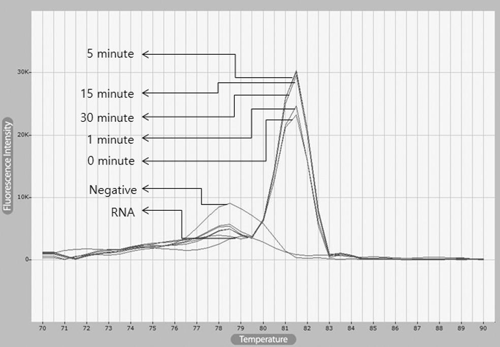 It was shown that reaction time were not important factor at cdna synthesis.