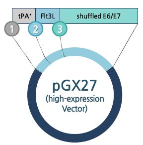 박시형 6915-5674 GX-188E, 키트루다와병용투여가계획된 DNA 항암백신 GX-188E 는자궁경부암을유발하는바이러스인 HPV의 16형과 18형의 E6, E7 단백질을발현하는치료용 DNA 백신이다.
