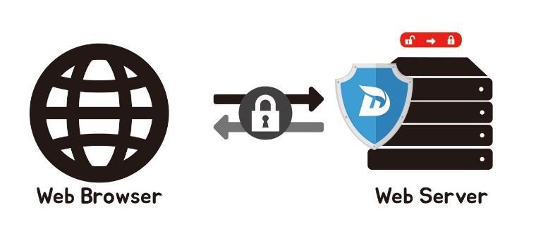 웹방화벽비교 SSL Inspection DeepFinder 는 H/W, Proxy, Reverse Proxy 웹방화벽의 SSL 처리방식과달라가속기등의추가구매없이, 성능 / 속도저하없이 SSL 트래픽을필터링합니다.