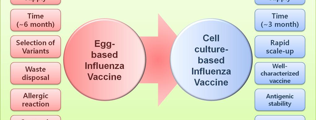12 I Lee, et al. Figure 1. A new paradigm for next generation of influenza vaccine. Cell culture-based influenza vaccine is challenging to issues caused by egg-based influenza vaccine.