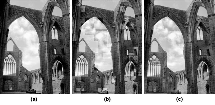 (JBE Vol. 22, No. 3, May 2017) 2. (a) (b) (c) Fig. 2. Exposure adjustment result (a) original input LDR image (b) result image with blocking artifacts (c) result image without blocking artifacts.