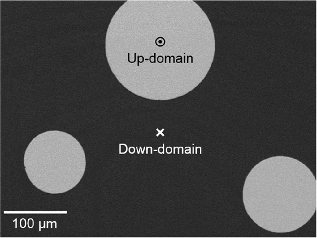 166 쟐로신스키 - 모리야상호작용측정을위한광자기커르효과현미경측정법개발 김대연 김덕호 박민호 최석봉 Fig. 4. Normalized image of circular magnetic domains captured by CCD camera. III. 실험결과및고찰 H DMI 측정실험을위해, 5.0-nm Ta/2.0-nm Pt/x-nm Co/ 1.