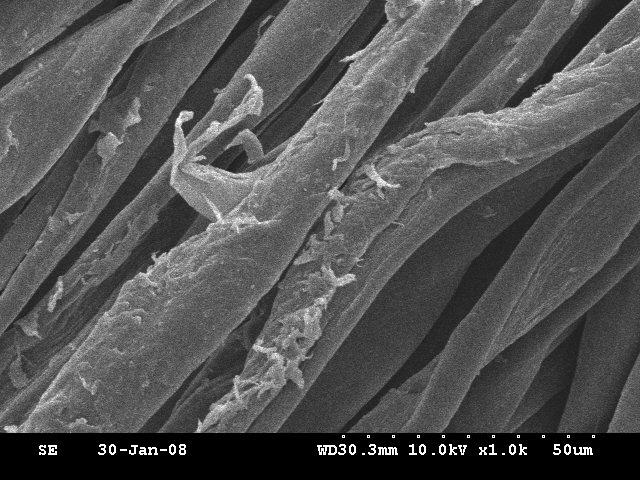 섬유표면에서유리된작은섬유조각들에의한마찰포의오염이더욱중요한역할을한다.