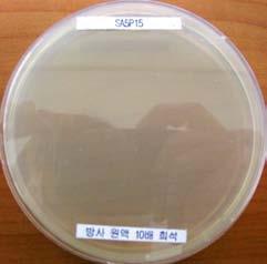 Antibacterial Action of Silver Alginate Containing PVP Against E. coli. Blank (d-2) (d-) (d-) ACC a (CFU/mL) 1. 7 < < 7.5 5 AA b (%) 99.9 99.9 92.