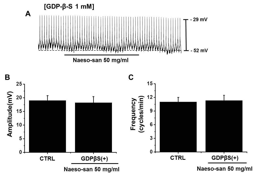 N. R. Hong et al 633 3. 내소산의카할세포효과에 G protein의관련성내소산에의한카할세포조절에 G protein의관련성을알아보기위해서세포내 G protein의기능을억제시키는것으로알려지고있는 GDPβS를사용하였다. 내소산의카할세포에서의진폭과빈도의억제가 GDPβS (1 mm) 의세포내존재로억제되었다 (Fig. 4).