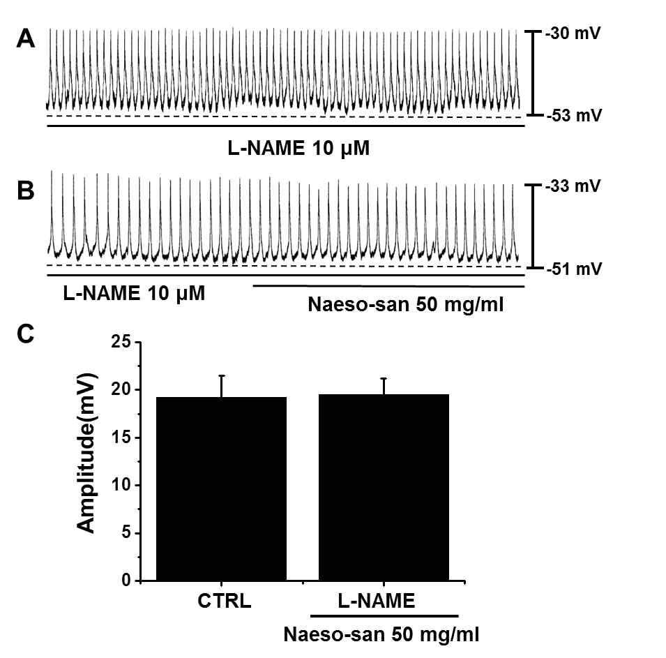 6B와 6C), NO가내소산에의한변화에관여함을알수있었다. Fig. 4. Effects of GDPβS on the response to Naeso-san. (A) Pacemaker potentials of ICCs exposed to Naeso-san (50 mg/ml) in the presence of GDPβS (1 mm) in the pipette.