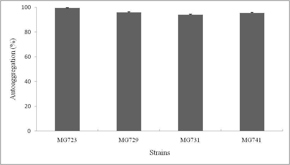 유아분변에서분리한비피도박테리아의프로바이오틱스기능성연구 Fig. 3. Percentages of autoaggregation (%) of selected strains at 5 h. The results represent the means±sd of three independent experiments. Table 3.