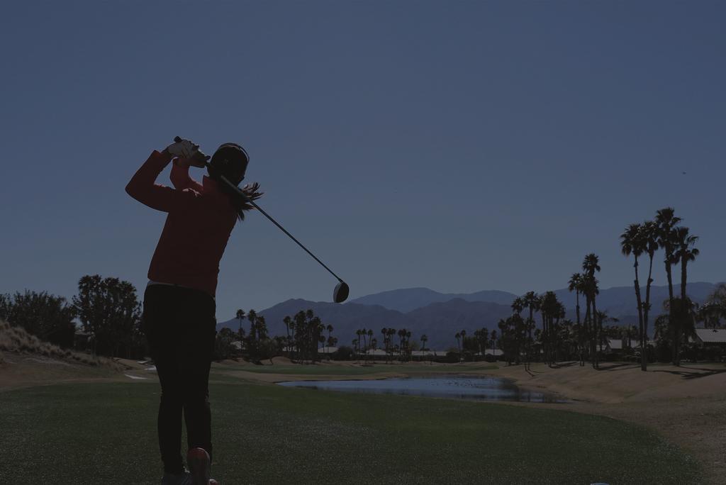 OUR SCREEN GOLF EXPERIENCE WILL BRING YOU A STEP CLOSER TO REALITY.