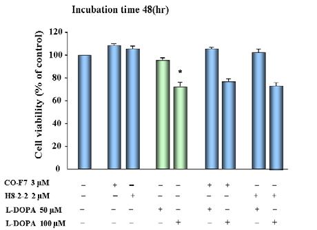 또한, C-F7 및 H8-2-2는전처치 24-48 시간에서 L-DPA(50-100 μm)-유도세포독성작용에대하여독성감소작용을나타내었다 (Fig. 8-10).