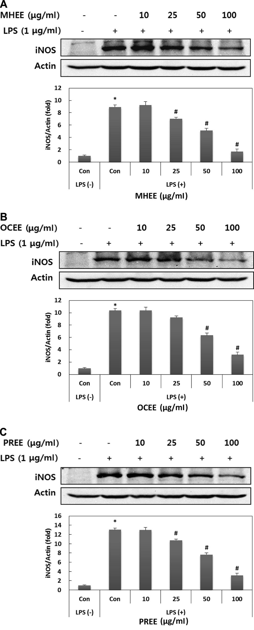 Biological Activities of Three Chinese Plants 281 Fig. 6. Modulation of LPS-induced inos protein expression in RAW 264.7 cells by MHEE (A), OCEE (B), and PREE (C).