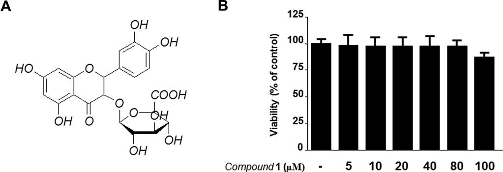20 Kor. J. Pharmacogn. Fig. 1. Chemical structure of QG (A) and effects of QG on cell viability (B). BV2 microglia were incubated for 24 h with various concentrations of QG (10-80 µm).