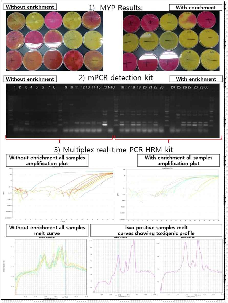 그림 3.32 상추에서전통적배지법, multiplex PCR kit 및 multiplex real-time PCR kit 에의 한결과들 (Results