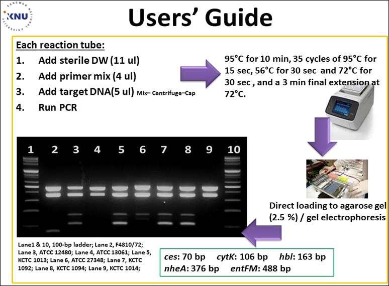 그림 3.21 multiplex PCR detection kit 에대한사용자편의차트식실험법 (User friendly Protocol for