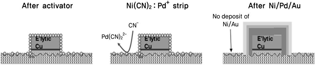 무전해니켈 팔라듐 금도금표면처리공정의도금번짐불량및개선 87 Figure 5. Concept of KCN stripping. 진위에형성되는팔라듐시드로부터시작되는것으로판단되어 Figure 5와같이간단하게 KCN 박리를함으로써고분자레진위의팔라듐시드를제거할수있었고이에 Figure 4와같이정규공정에추가되었다.