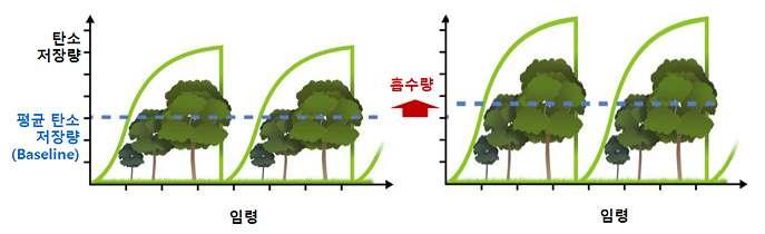 수관울폐도 10%