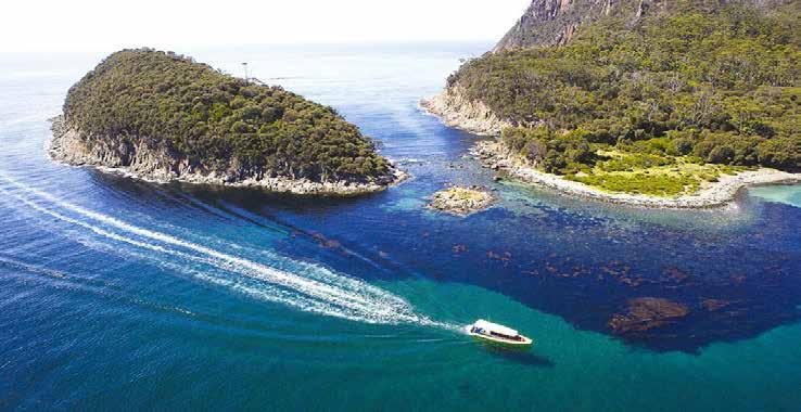 D6 Hobart (Hotel breakfast / Western lunch / - ) CHOICE OF : Enjoy an exclusive full day gourmet seafood cruise on a custom-built yellow boat.