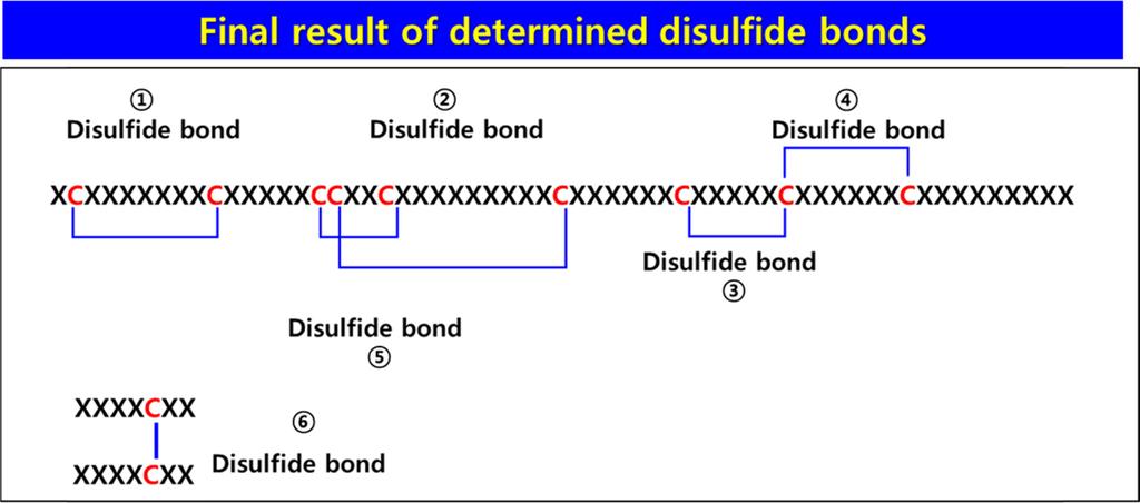 32 진종화 민호필 권오승 오현정 김종원 박철환 Fig. 9. Final result of identified disulfide bonds for the HRPE protein (inter-chain disulfide bonds: and intra-chain disulfide bonds: 5). Fig. 7.