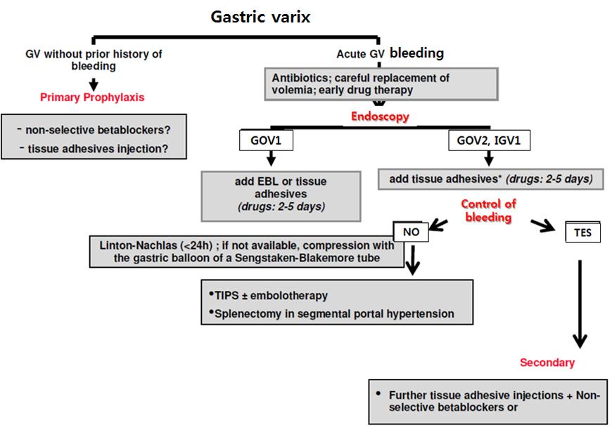 이태희 내시경적식도및위정맥류치료법 Figure 3. Treatment of Gastric variceal bleeding. Garcia-Pagáan JC, Barrufet M, Cardenas A, Escorsell ÀA, Management of Gastric Varices, Clin Gastroenterol Hepatol (2013), doi: 10.
