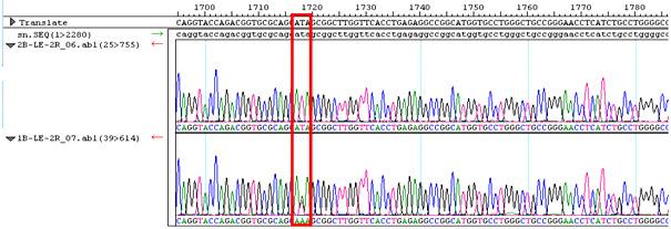 Comparison of direct sequencing and PCR-RFLP for the detection of FUT2 and FUT3 gene mutation Fig. 3.