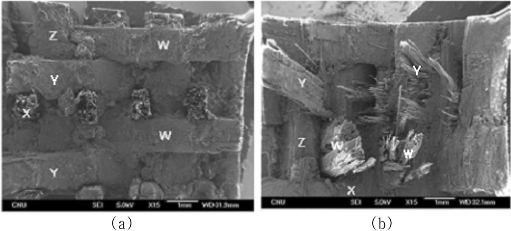 Flexural Behavirs f 4D Carbn/carbn Cmpsites with the Prefrm Architectures SEM phtgraphs f fractured 4D cmpsites; (a) Xaxis directin and (b) perpendicular directin t X-axis. Fig. 9.