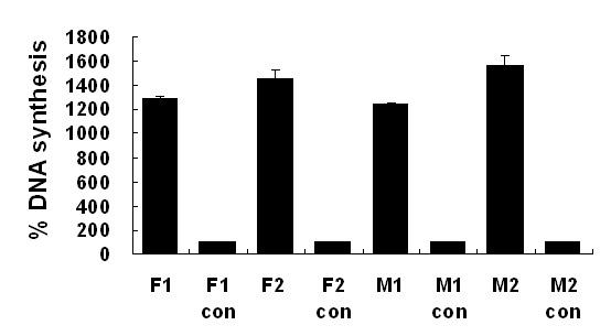 C. DNA synthesis In the group treated with conditioned medium, the hlf cells showed a significant increase in DNA synthesis, compared with the control (Fig. 7). Figure 7.