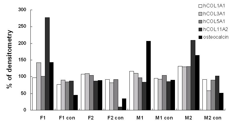 The expression of each band shown in A was quantified using an image analyzer. The results are presented as the percentage of the mrna level in each band relative to β-actin.