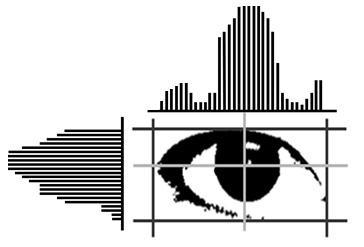 6] The pupil center detection using the histogram 3.2.3 눈영역검출입력된영상에서 AdaBoost로훈련된눈동자영역의그룹을이용해눈동자영역의정보를얻기위해영상을피라미드구조형식으로축소해가면서눈동자영역을결정하게된다.
