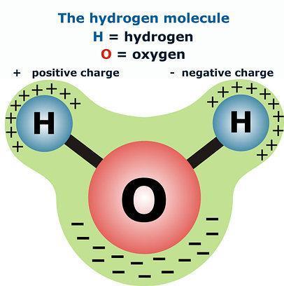 5. 물 H2O 분자 극성공유결합분자 전기음성도가서로다른산소와수소원자의공유결합으로형성