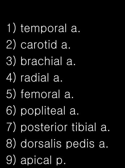 맥박 Pulse 맥박측정부위및방법 1) temporal a. 2) carotid a. 3) brachial a. 4) radial a.