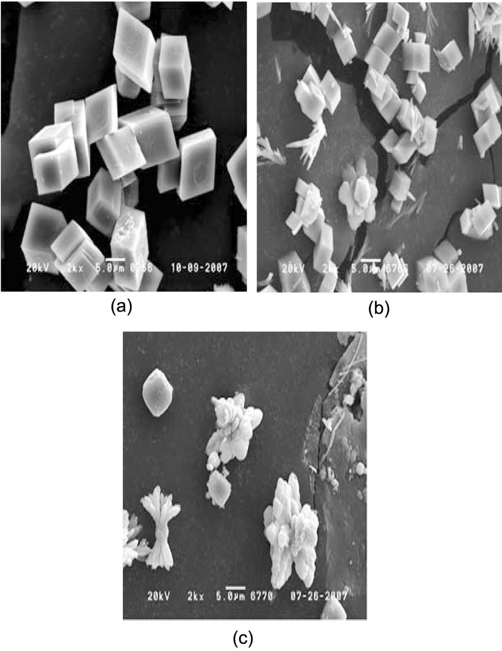 1054 한현각 김보미 김진아 Fig. 1. XRD results f calcium carbnate at (a) 30 C, (b) 60 C, (c) 80 C (d) calcite library, (e) aragnite library. Fig. 3. SEM image f calcium carbnate at 60 C by adding PAA slutin, the cncentratin f PAA is.