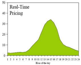 Peak Price): 전력수요가높은시간대요금을사전공지, 시행 * 실시간요금
