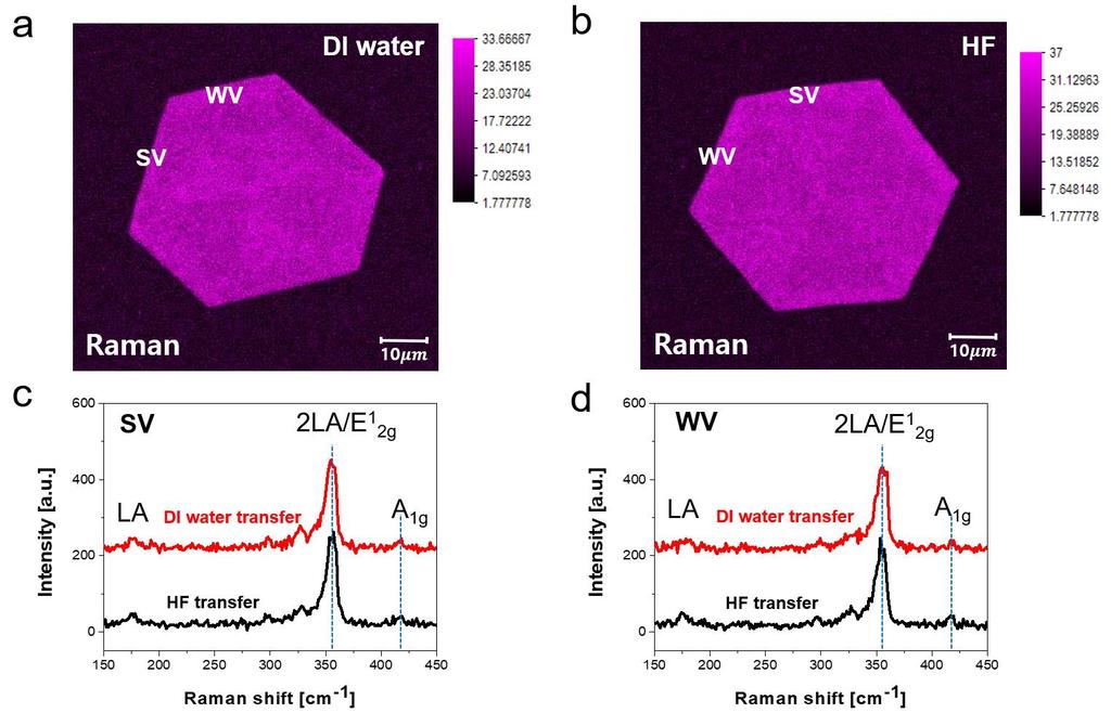 Fig. 6. Raman analysis of hexagonal WS 2 transferred via DI-water and HF solutions. (a) Raman mapping image for 2LA/E 1 2g peak of transferred WS 2 using (a) DI water and (b)hf solution.