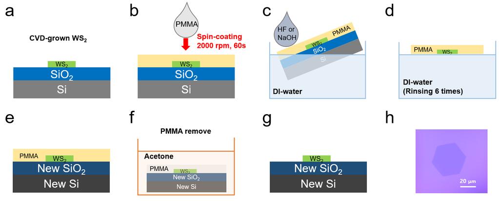 Fig. 3. Schematic of a wet-transfer process. (a) As-grown WS 2 on SiO 2/Si substrate. (b) PMMA spin-coating on WS 2.