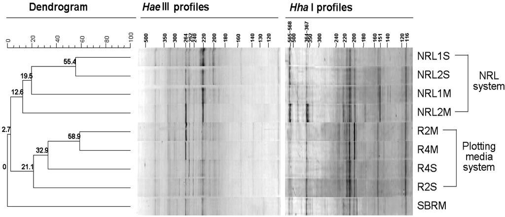 28 Kyung-Mi Kim et al. Kor. J. Microbiol 0.2 N NaOH ƒw 5 jš, 0.2 N NaOH ƒw 2 k biotin single-stranded DNA T-RF (sst-rf) z w. 25% NH 4 OH š 65 o C 10 g streptavidin l DNA g.