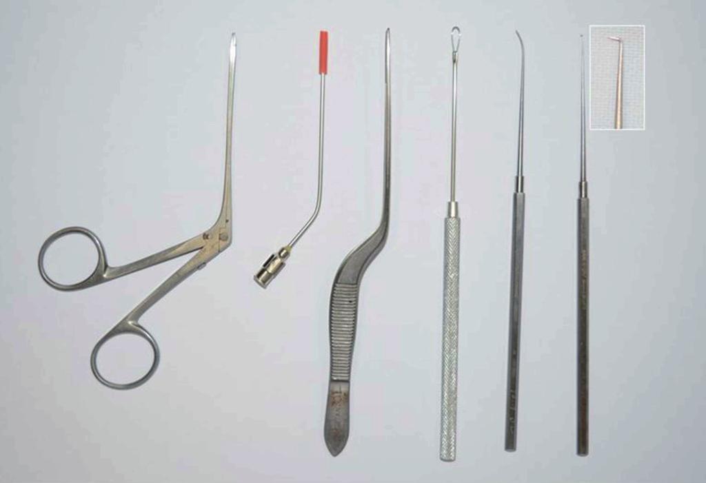 Foreign Body of External Auditory Canal Koo BM, et al. Fig. 1. Foreign Body removal instruments.