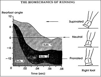 1.1.2 생체역학이론 가. 보행및런닝과정분석인간이걷거나달리기를할때발에발생하는동작은일반적으로일련의순서로나타난다.