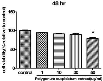 하지만虎杖根 50 μg/ml 첨가한군의살아남은세포가虎杖根 1, 10 및 30 μg/ml를첨가한군에비해감소하여虎杖根 50 μg/ml를첨가한군을배제하였다 (Fig. 1). Fig. 1. Cytoxicity of PCR Extract in RANKL, M-CSF Stimulated BMMs(bone marrow-derived macrophages) for 24 and 48 Hours Incubation.