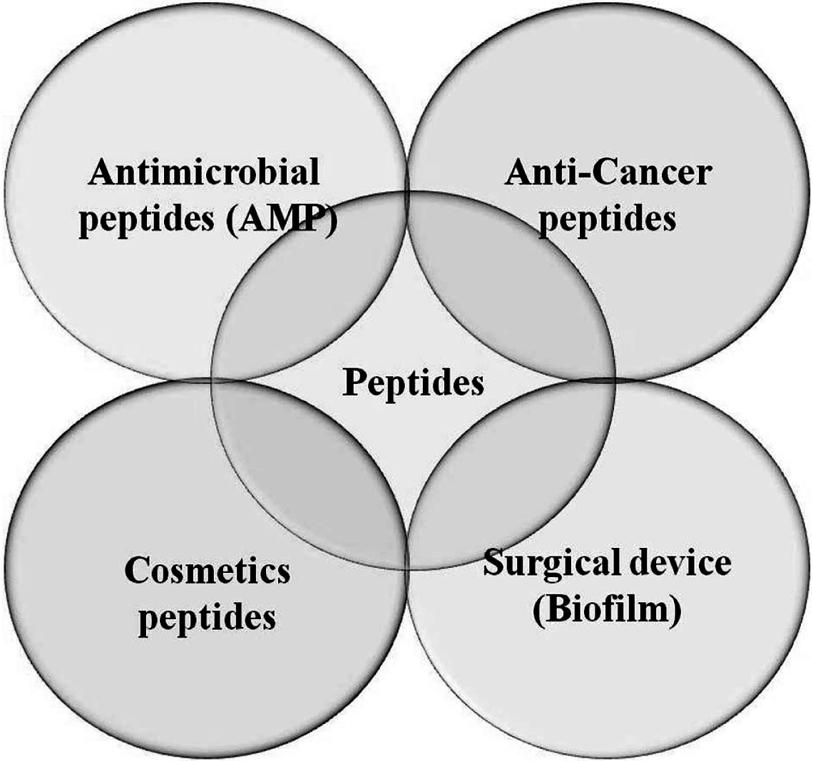 항생펩타이드의기능과적용분야 121 Figure 1. The application of peptides. Figure 2. Action and mechanism of antimicrobial peptides (AMPs) against bacteria cell membrane. 소시켜세포독성을줄일수있는방법이제시되기도하였다 [23].
