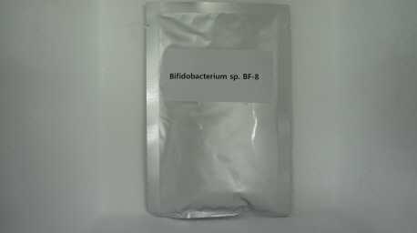 Bifidobacterium sp. BF8.