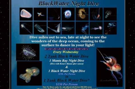 하와이섬코나다이빙에서만볼수있는 Black Water Night