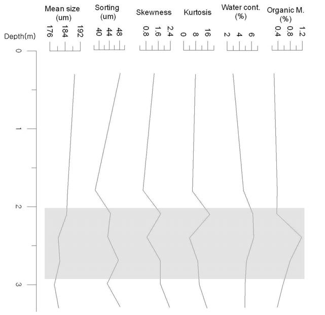 64 해안지역의자연경관특성및보전방안연구 (Ⅱ) μm정도였으나, 사구모래는약 180 μm였다. 유기물함량의경우, 전체적으로약 0.5% 내외였으나, 고사구층에서는 1.2% 정도까지측정되었다. 그림 34. 장곡리운여사구퇴적물의수직적변화 ( 회색부분은고사구층 ) 표 18.