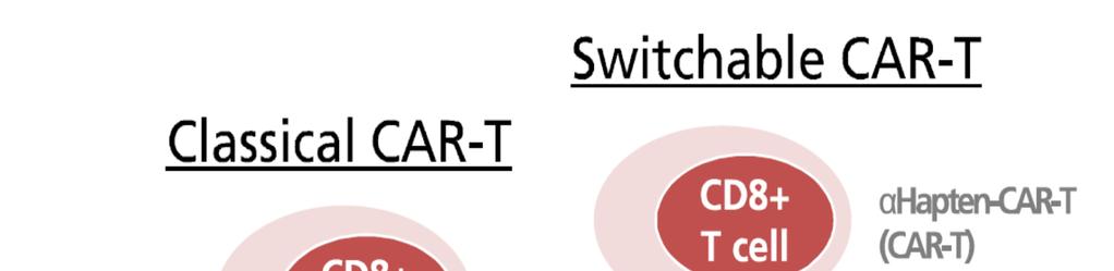 Switchable CAR-T는 CAR-T세포가암세포를직접인식하여제거하는기존 CAR-T와달리중간매개체 ( 스위치물질