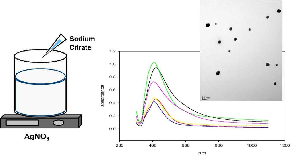 (2) 50~100 nm o 50~100 nm.,. Sodium Citrate. o 0.5 mm AgNO 3 150 ml., Sodium Citrate,.