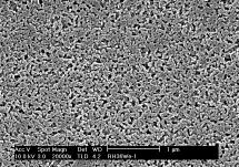 31 /49 TEC: Total Exchange Capacity 합성흡착제 (Synthetic adsorbents) 제품명 화학구조 Specific surface area( m2 /g) Pore volume ( ml /g) Pore radius (A ) 입도분포용도동등품 GSH-20 -CH 2 -CH-CH