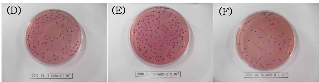 MacConkey agar used in this figure did not contain