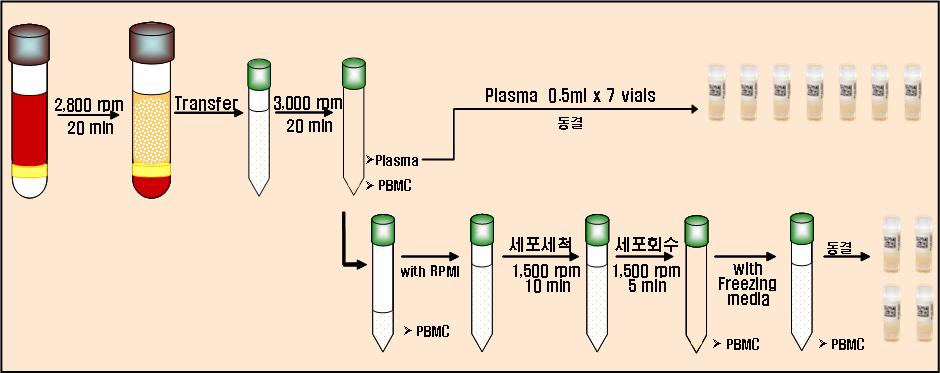 예를들면, 검체량, 응고여부, 용혈여부등을육안으로확인하고이상이있는경우에는사진을찍어보관한다. 원심분리 (,rpm, min, Break off, ) 후, plasma 층은분리하여동결바이알에옮긴후 LN 탱크에보관한다.