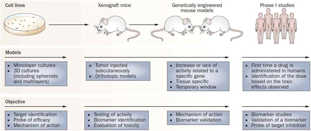 Preclinical models to evaluate anticancer drugs Ocana, A. et al.