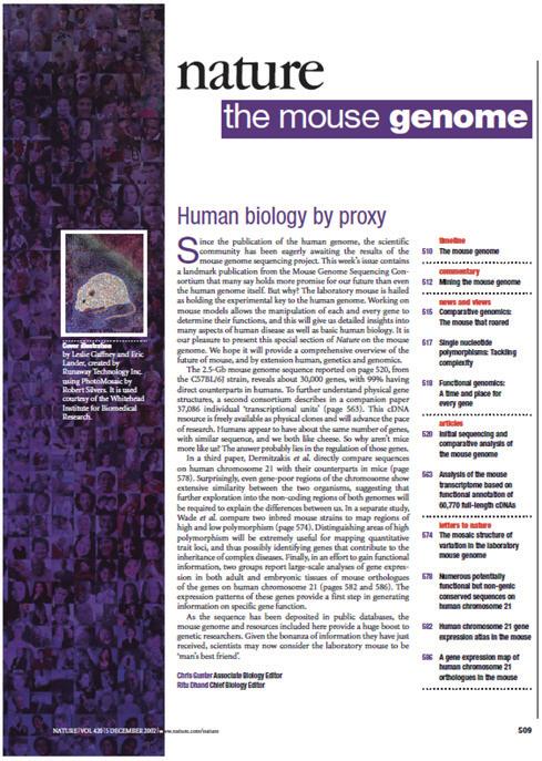 molecular and cellular Biology Newsletter 체서열과분석을마치고 Nature에발표하였다. Mouse genome의전체크기는 2.5 Gb로서사람보다적으며 30000개이하의유전자가있을것으로예측되었다. 사람과마우스 genome의약 40% 는서로직접 align 될수있었으며, 사람유전자전체의약 80% 가마우스에도존재하였다.